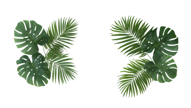 A Vibrant Collection of Tropical Leaves Showcasing the Beauty of Nature's Greens in a Stunning Arrangement Against a Transparent Background for Creative Design Inspiration.