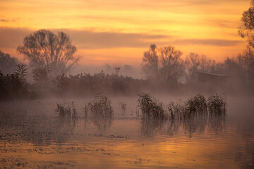 Jesienny, mglisty poranek nad stawem, wschód słońca.  © mycatherina