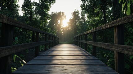 Old wooden footbridge in a dense forest