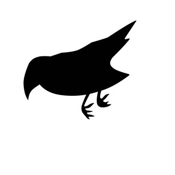 recommend clip art: dead bird silhouette