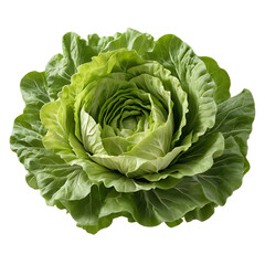 Fototapeta premium Head of fresh, organic cabbage isolated on white background, perfect for salads and vegetarian dishes