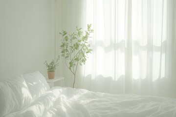 Sunlight illuminating white bedroom with green plants adding a touch of nature