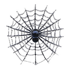 Fototapeta premium A Spider Sitting in the Center of a Dew-Covered Spider Web with Isolated Transparent Background