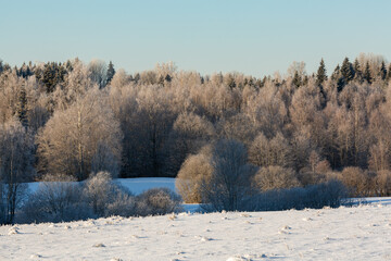 sunny, snowy winter day in the countryside