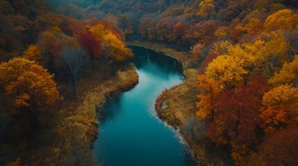 Aerial View of Winding River through Autumn Forest
