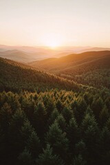 Mountain range with fore at sunset, with the sun setting behind them. 