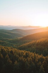 Fototapeta premium Mountain range with fore at sunset, with the sun setting behind them. 