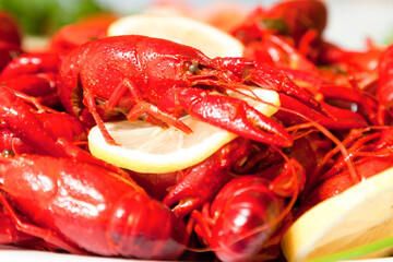 Boiled crawfish on plate close up