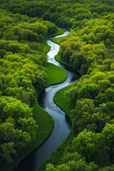 Fototapeta premium A river running through a lush green forest