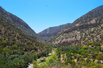 Naklejka premium landscape and mountains