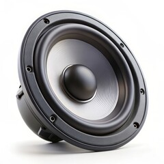 A close-up view of a black speaker driver