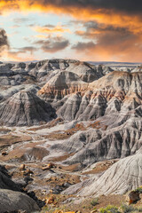 Petriefied Forest National Park Arizona