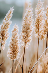 A bunch of tall grass that are in the grass