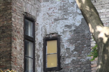 Abandoned building with weathered brick walls and cracked window near a tree in an urban setting during daylight