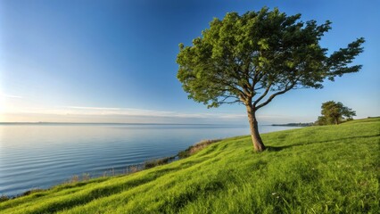 Fototapeta premium Serene Landscape of a Tree by Water: Nature's Tranquility and Scenic Beauty for Relaxation and Inspiration