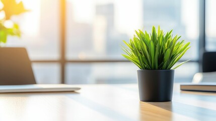 Closeup of a potted plant on a desk with a laptop and a notebook in the background, with a large window and cityscape view in the background.