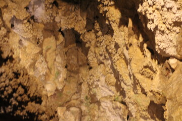 Exploring intricate geological formations inside a limestone cave with unique textures and colors under soft lighting