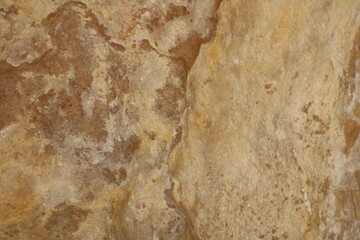 Natural stone texture showing earthy tones and organic patterns on a rocky surface in a rustic setting