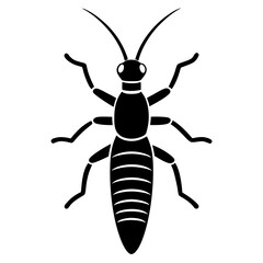 silhouette of a earwig