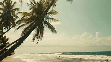 Tropical beach with palm trees vintage tones