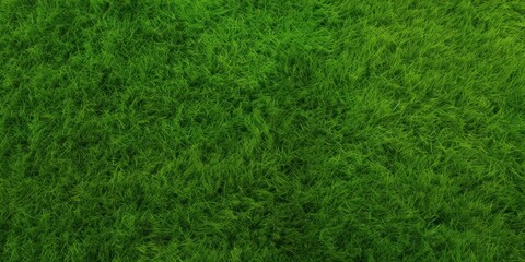 Fototapeta premium Green short grass texture background green vegetation greenery.