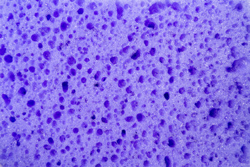 Sponge texture background. Close up