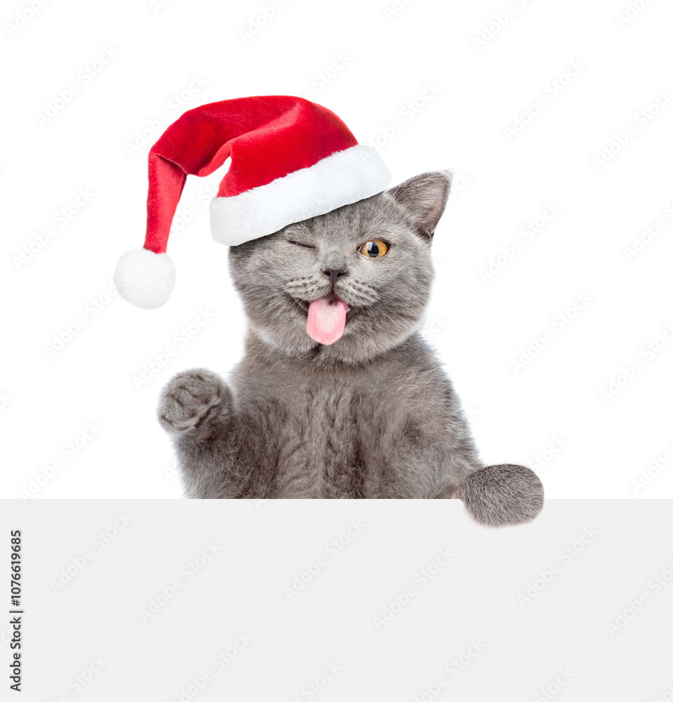 Poster winking cat with tongue out wearing red christmas hat looks above blank white board. empty space for