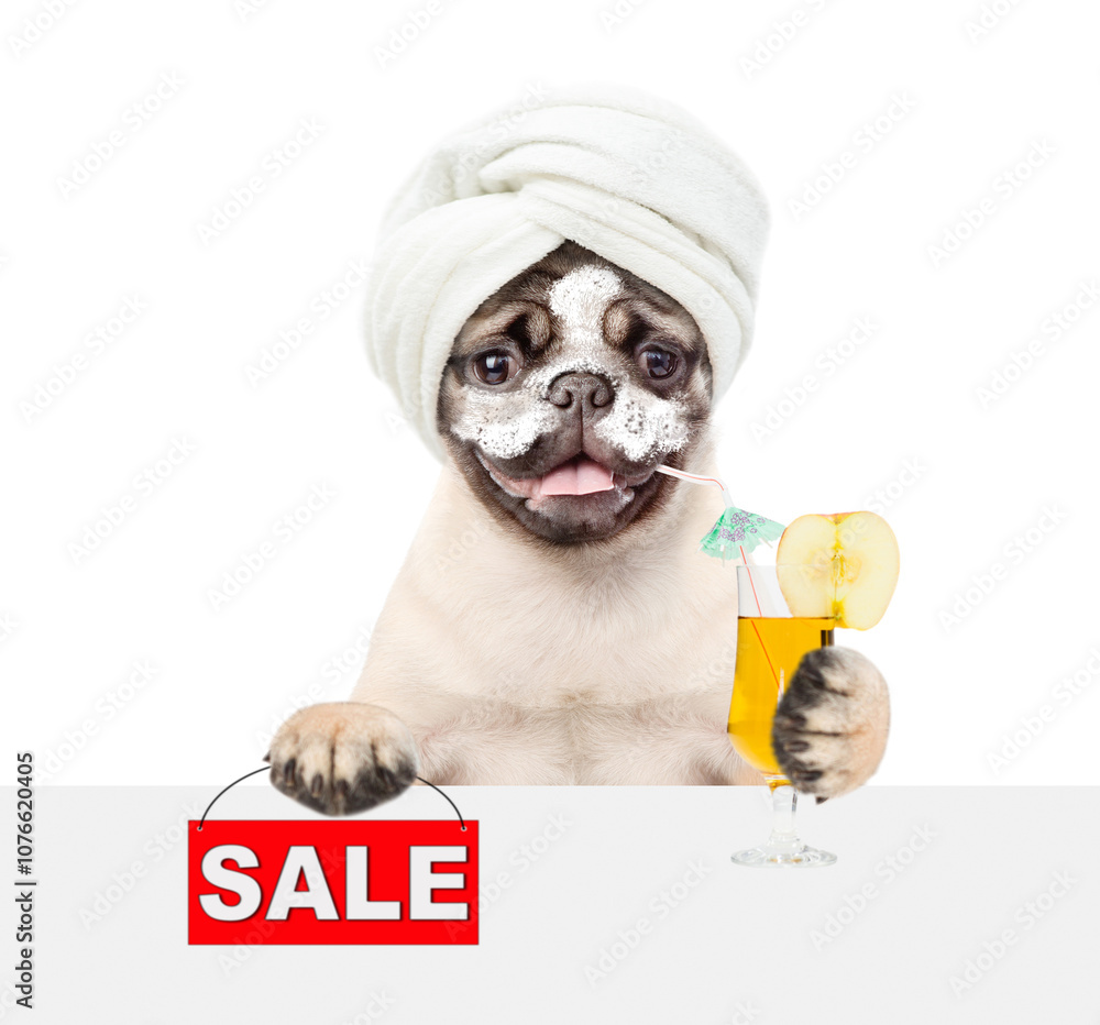 Poster funny pug puppy with towel on it head and with cream on it face holding watermelon cocktail above bl