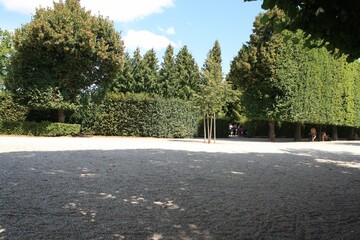 Serene gravel pathway lined with lush hedges in a tranquil garden setting on a sunny day