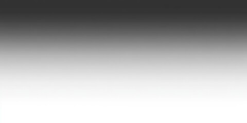 A gradient from dark gray to white fills the frame, evoking a feeling of boundless sky and winter stillness