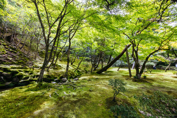 Obraz premium Silver Pavillion Ginkakuji Temple Kyoto Japan