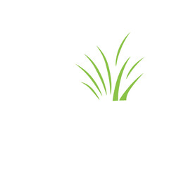 Green grass vector