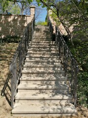 Steps leading upwards through a lush green garden on a sunny day, surrounded by trees and brick walls