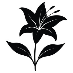 Minimalist Lily Flower Flat Illustration