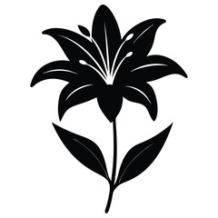 Minimalist Lily Flower Flat Illustration