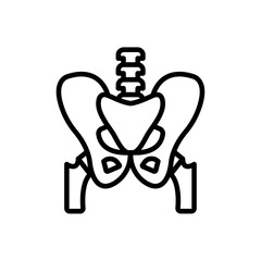 Pelvic area icon Vector flat thin line illustration