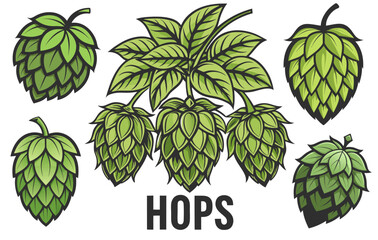 This vibrant illustration showcases fresh, green hop cones and leaves, essential ingredients in beer brewing and representing agricultural cultivation