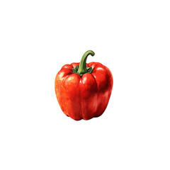 Red bell pepper illustration with vibrant colors and detailed texture