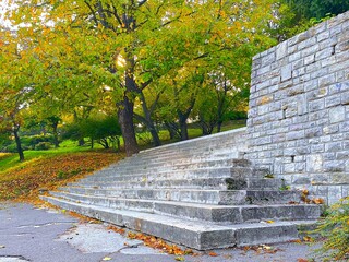 Autumn park with a set of wide stone steps leading up a gentle hill. 