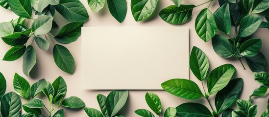 Fototapeta premium Green Leaves and Paper - Minimalist Nature Background