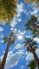 Obraz premium Sunlight filtering through tall palm trees in a lush tropical forest during the day