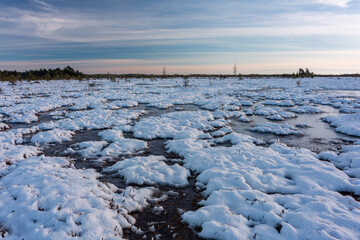 swamp on a sunny winter day with snow