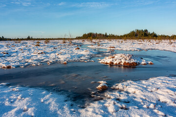 swamp on a sunny winter day with snow