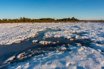 swamp on a sunny winter day with snow