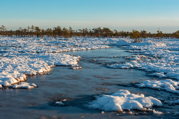 swamp on a sunny winter day with snow