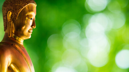 buddha statue on green background