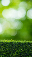 Green fence in the garden
