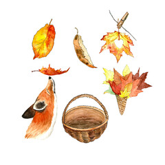 fox watercolor seasonal set