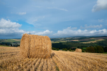 Fototapeta premium Straw bale on the field, cultivated barley, harvest in the summer, agriculture for food, farmland on the countryside