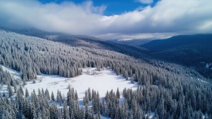 Snow-Covered Mountain Forest